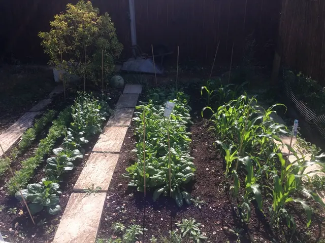 Iowa Agricultural Growth Zones - USDA Map Delineating Iowa's Growing Regions